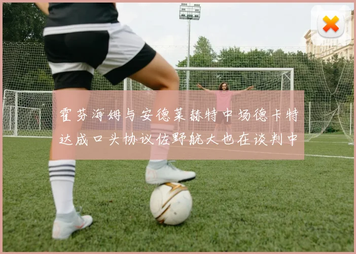 霍芬海姆与安德莱赫特中场德卡特达成口头协议佐野航大也在谈判中