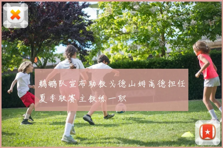 鹈鹕队宣布助教戈德山姆高德担任夏季联赛主教练一职